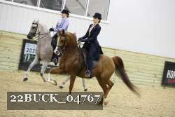 22BUCK_04767 proof