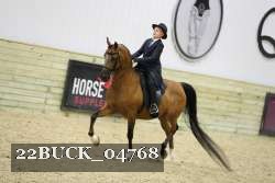 22BUCK_04768 proof