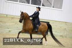 22BUCK_04769 proof