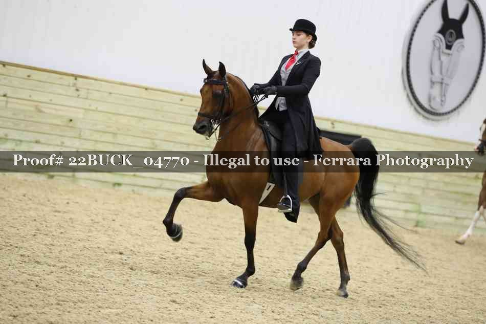 Proof 22BUCK_04770
