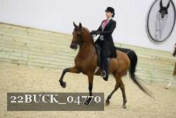 22BUCK_04770 proof
