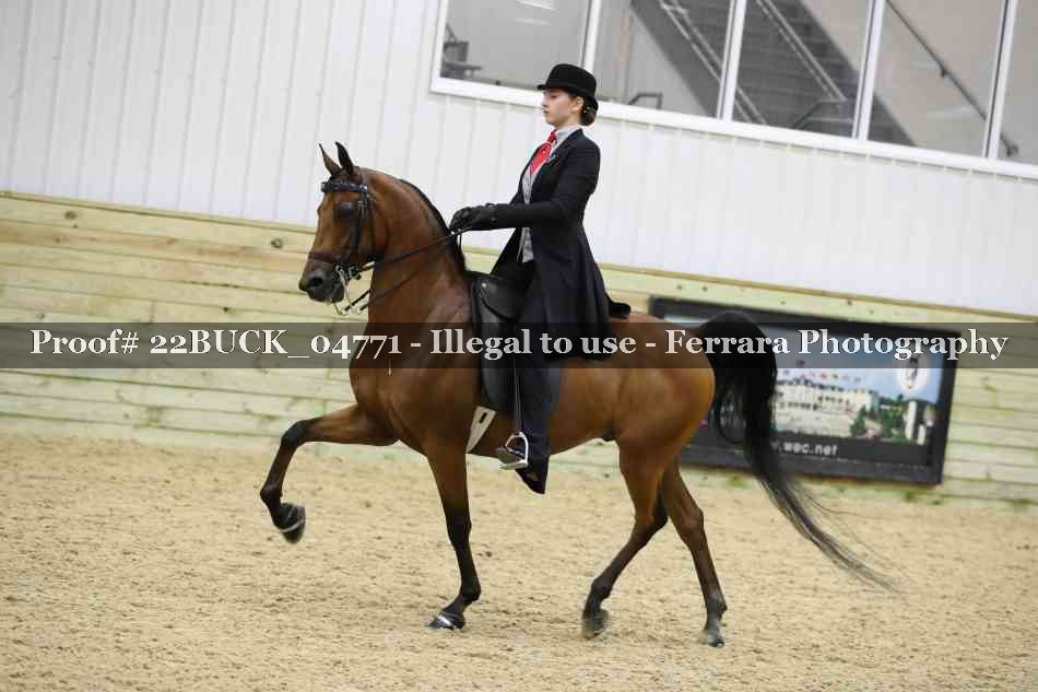 Proof 22BUCK_04771