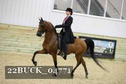 22BUCK_04771 proof