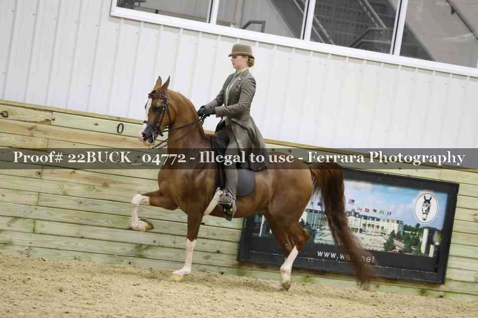 Proof 22BUCK_04772