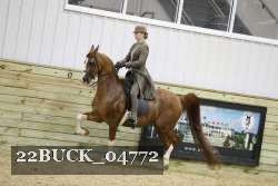 22BUCK_04772 proof