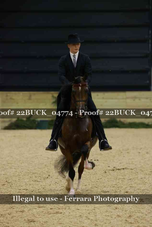 Proof 22BUCK_04774