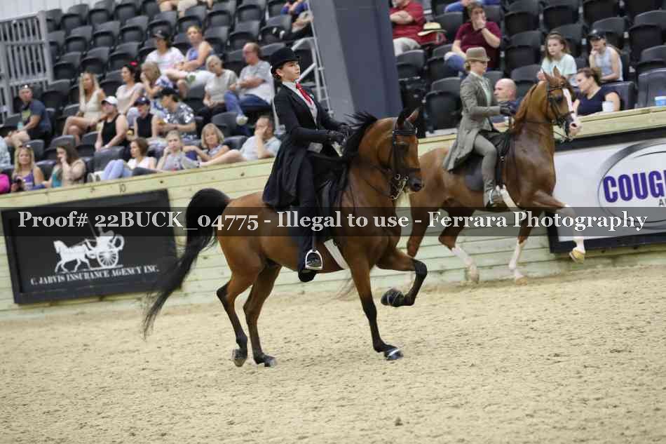 Proof 22BUCK_04775