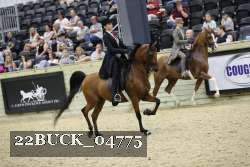 22BUCK_04775 proof
