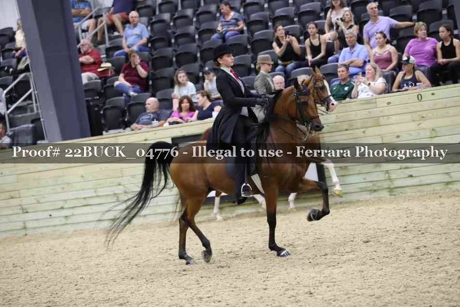 Proof 22BUCK_04776