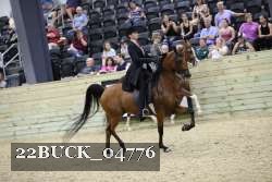 22BUCK_04776 proof