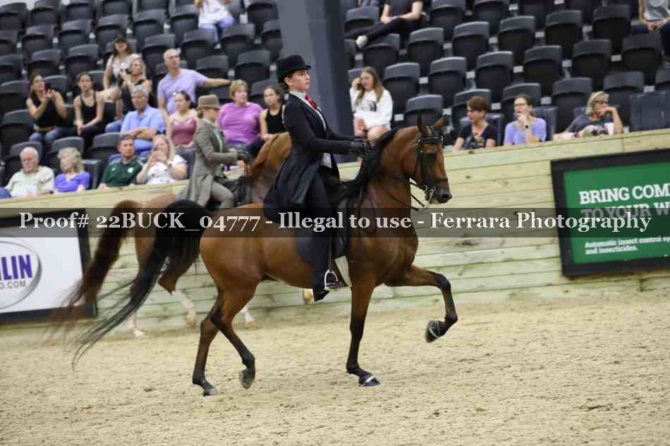 Proof 22BUCK_04777