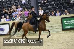 22BUCK_04777 proof