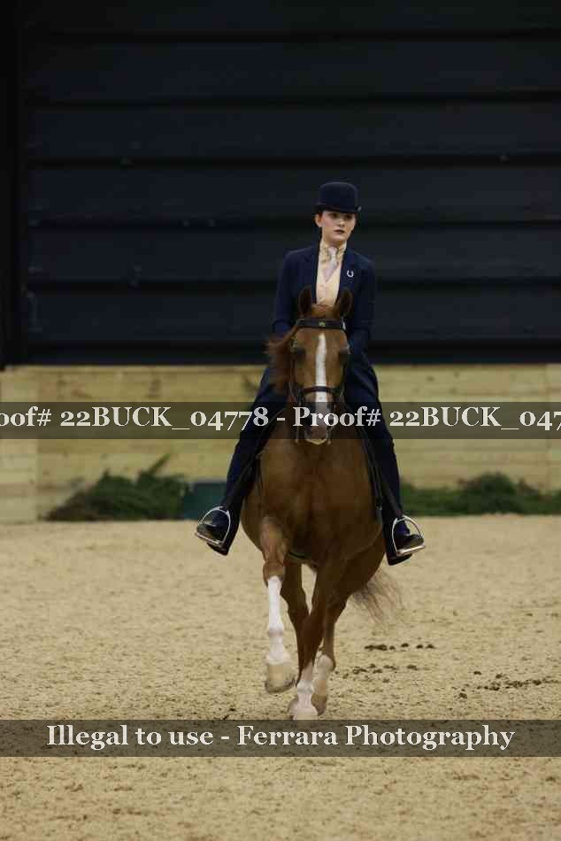 Proof 22BUCK_04778