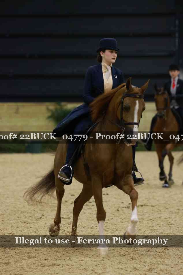 Proof 22BUCK_04779