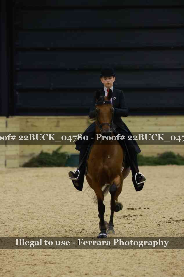 Proof 22BUCK_04780