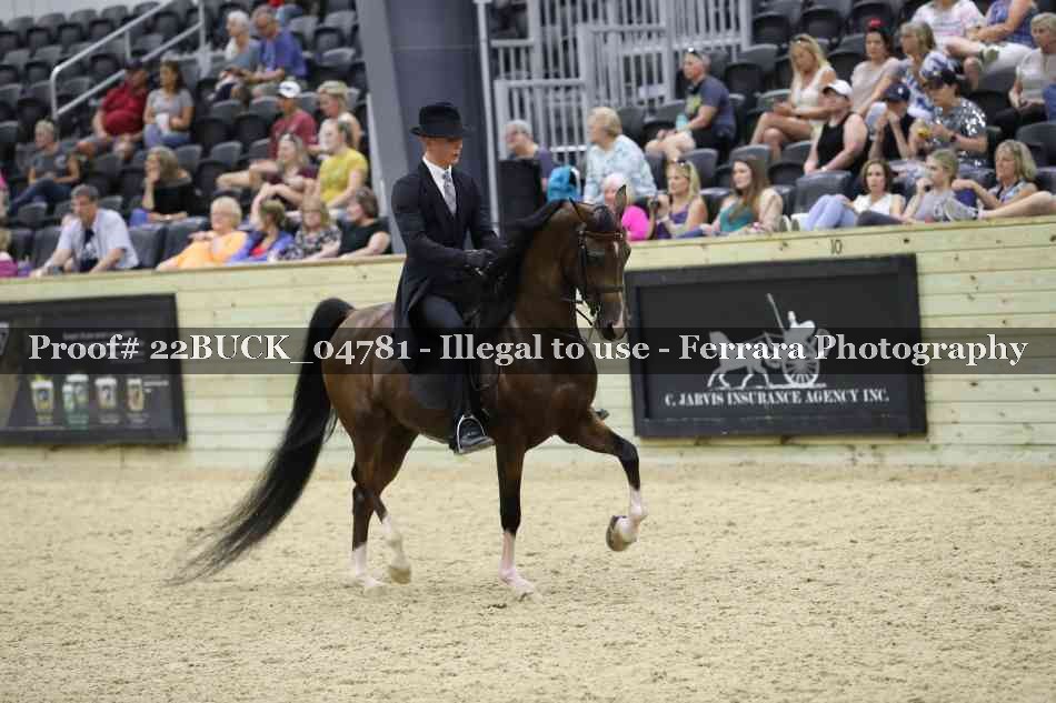 Proof 22BUCK_04781