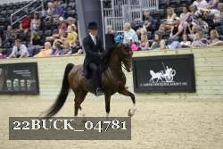 22BUCK_04781 proof