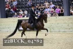 22BUCK_04782 proof
