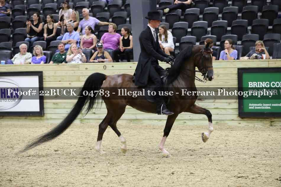 Proof 22BUCK_04783