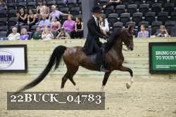22BUCK_04783 proof