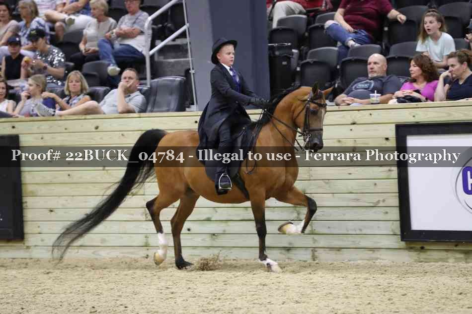 Proof 22BUCK_04784