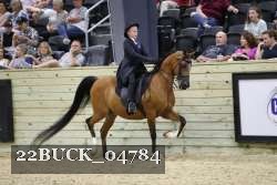 22BUCK_04784 proof
