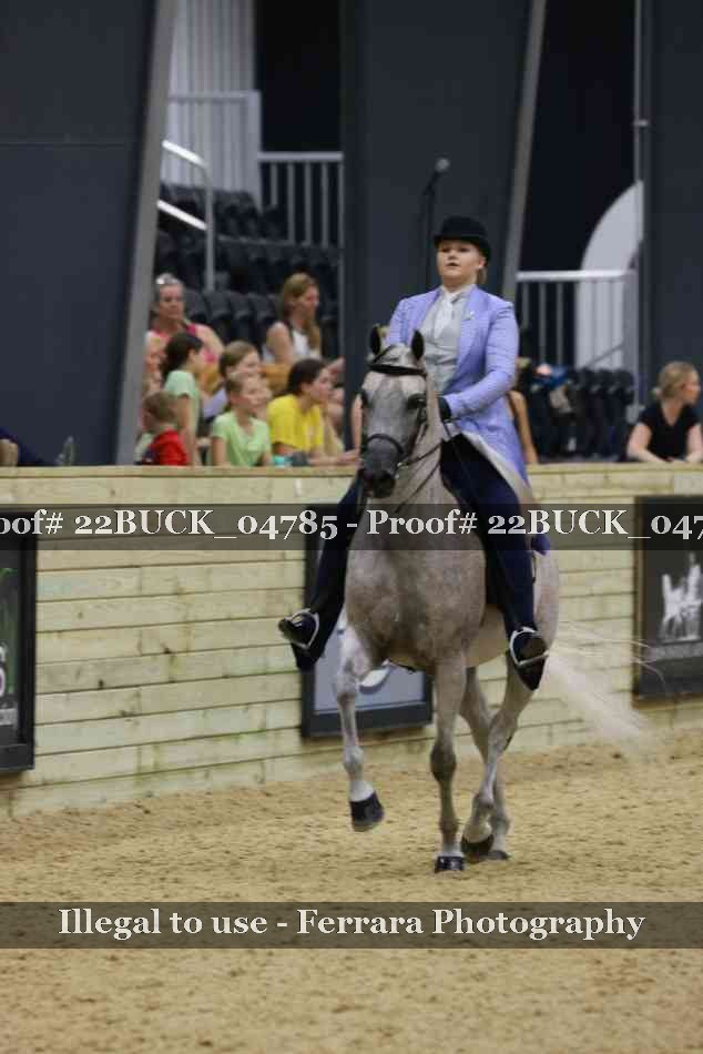 Proof 22BUCK_04785