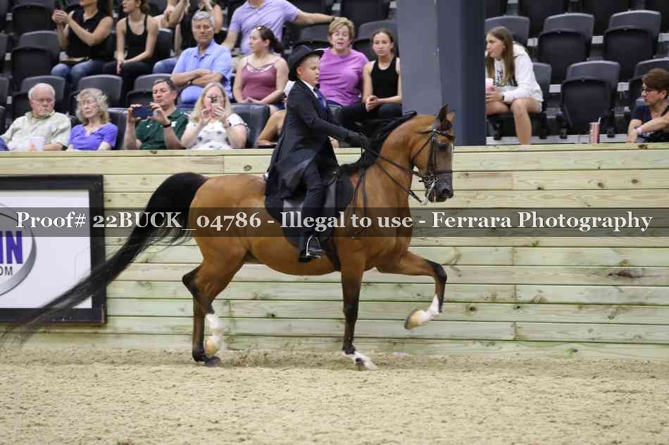 Proof 22BUCK_04786