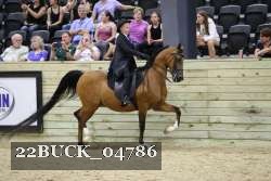 22BUCK_04786 proof