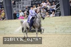 22BUCK_04787 proof