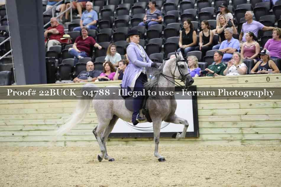 Proof 22BUCK_04788