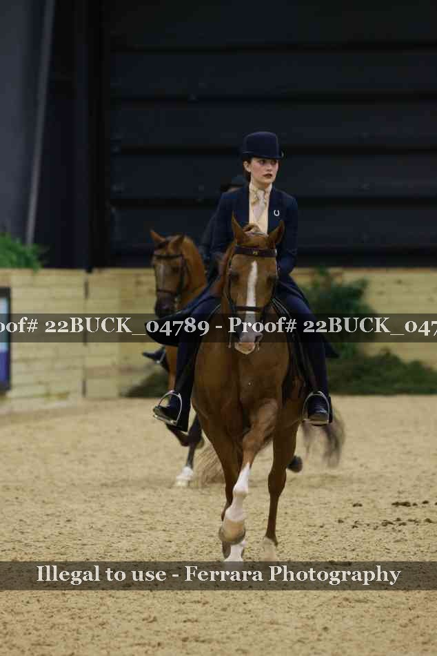 Proof 22BUCK_04789