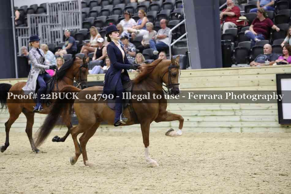 Proof 22BUCK_04790