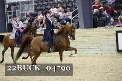 22BUCK_04790 proof