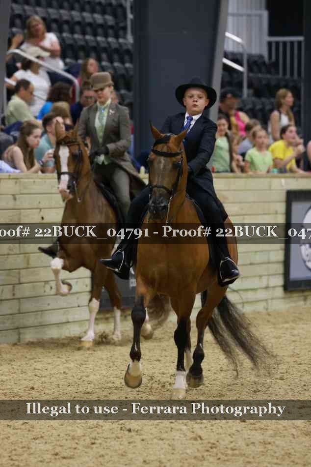 Proof 22BUCK_04791