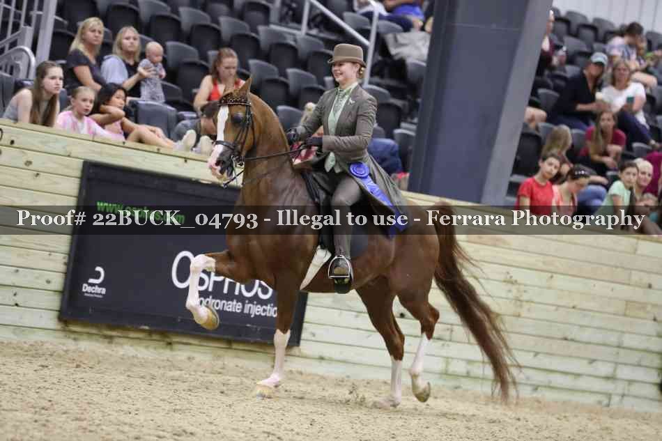 Proof 22BUCK_04793