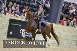 22BUCK_04793 proof