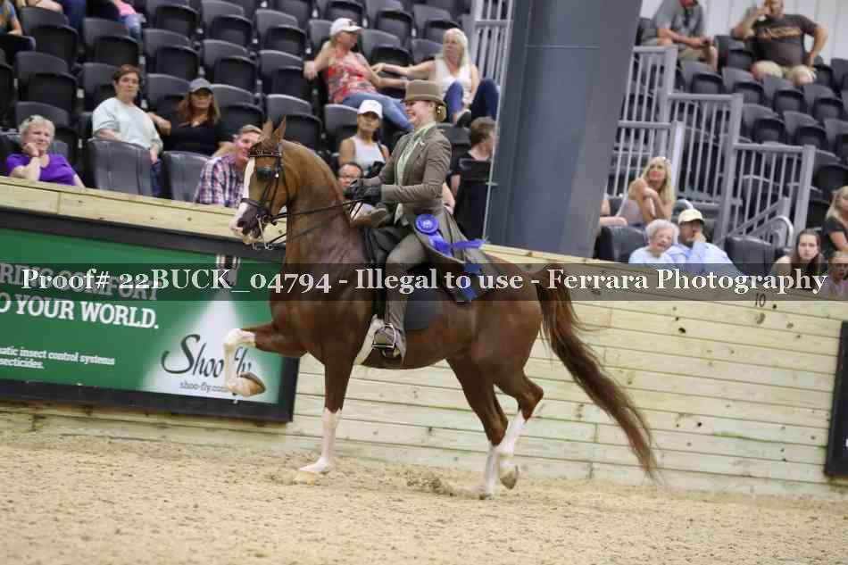 Proof 22BUCK_04794
