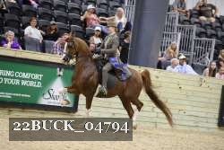22BUCK_04794 proof