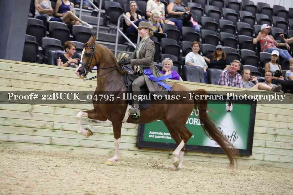 Proof 22BUCK_04795