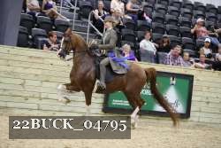 22BUCK_04795 proof