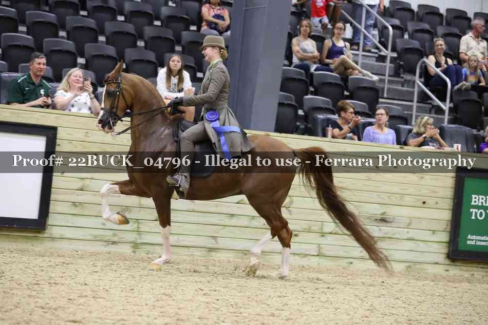 Proof 22BUCK_04796