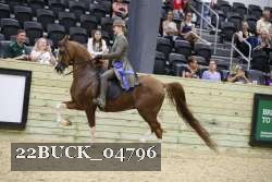 22BUCK_04796 proof