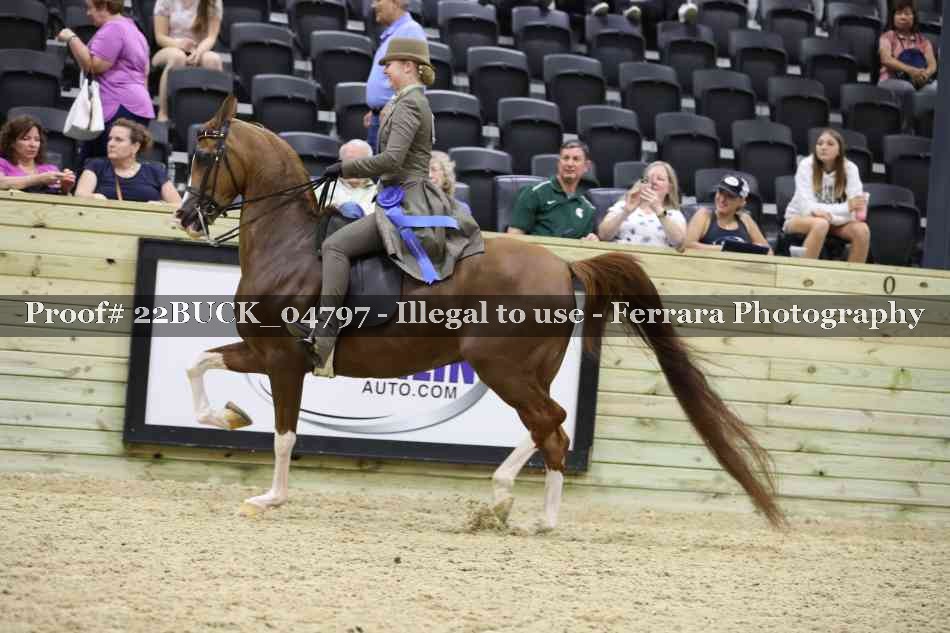 Proof 22BUCK_04797
