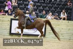 22BUCK_04797 proof