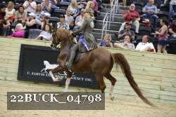 22BUCK_04798 proof