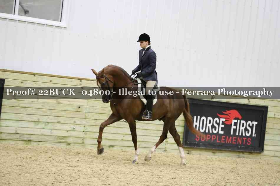 Proof 22BUCK_04800