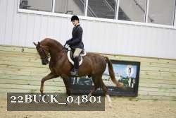 22BUCK_04801 proof