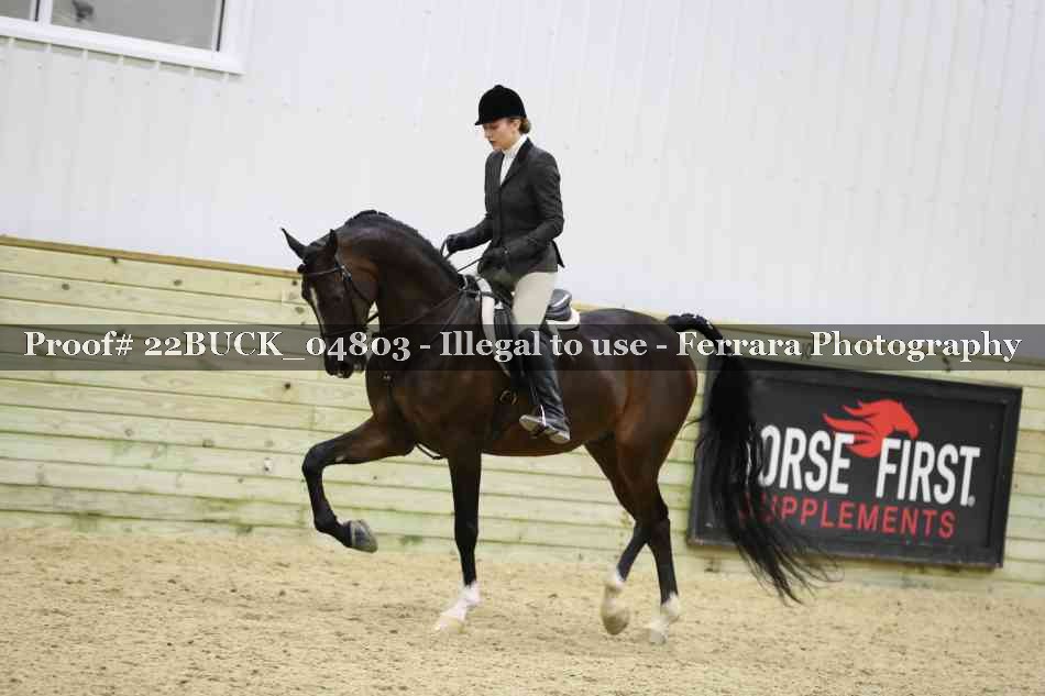 Proof 22BUCK_04803