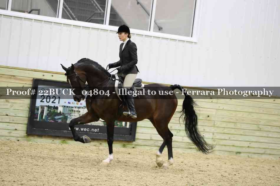 Proof 22BUCK_04804